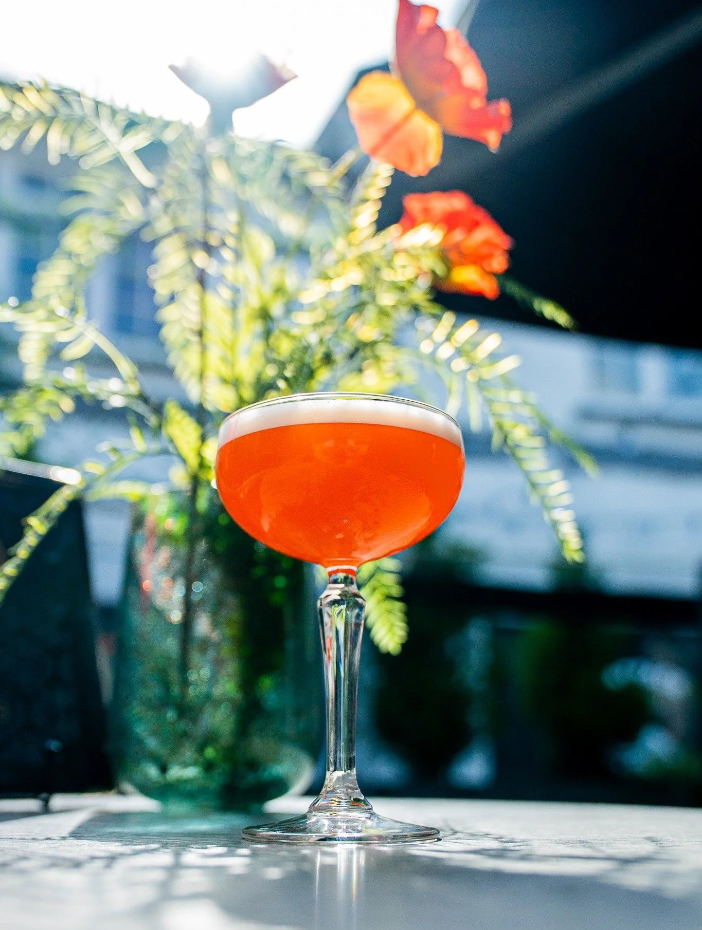 TASTE THE EXTRAORDINARY 🍸🔥

Being a Cranleigh guest means you're first in line for the newest flavours in Bowness. Use your 15% discount to explore our updated sister venue menus:

✨ The Fizzy Tart&eacute;: Try  our new Bartender&rsquo;s Jewel coll