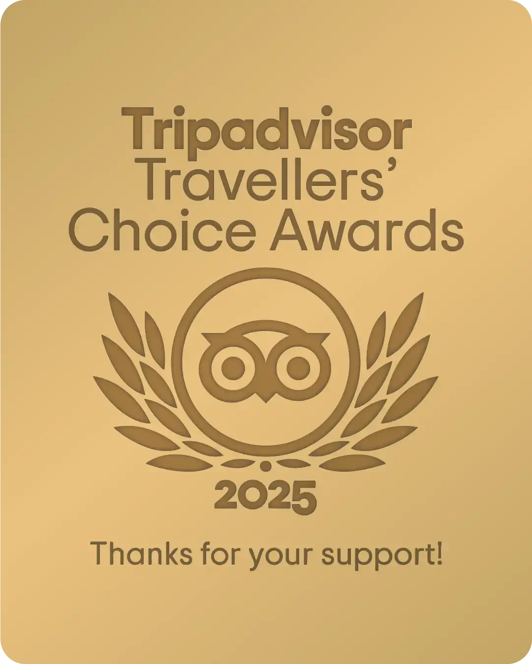 Awarded travellers choice 2025 tripadvisor