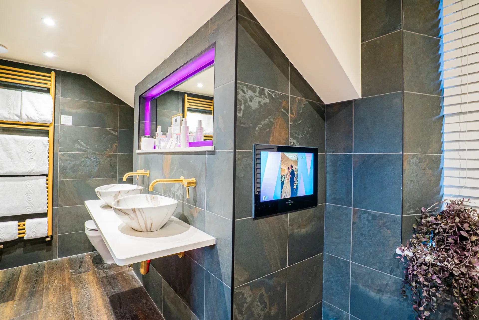 Cranleigh Hotel-Seduction Suite-bathroom-tv-DSC09911.webp