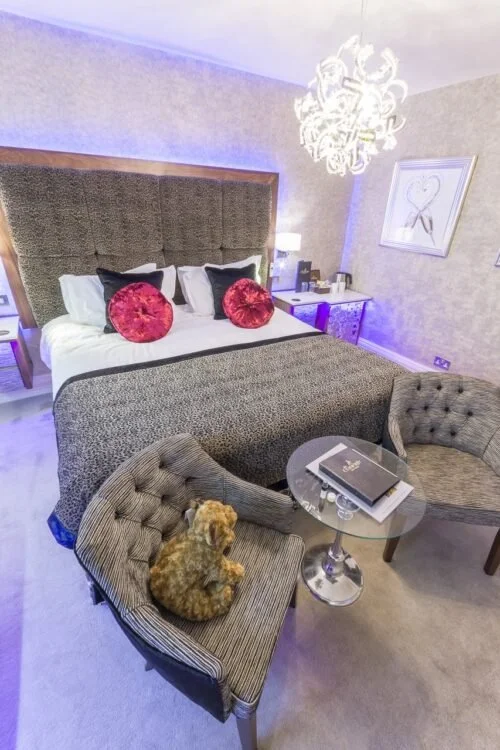 The Cranleigh Boutique Superior Room 8 img 11