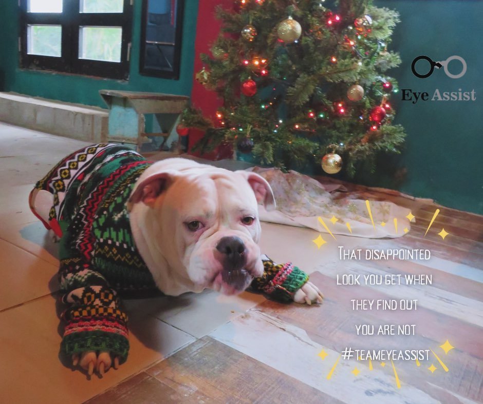That, “judgey” look you get when they find out you’re not #teameyeassist.
It is now now 69 days until Christmas 2024
Visit www.eyeassistoptical.com to keep up to date with all the fun things happening this year.
Be sure to boo
