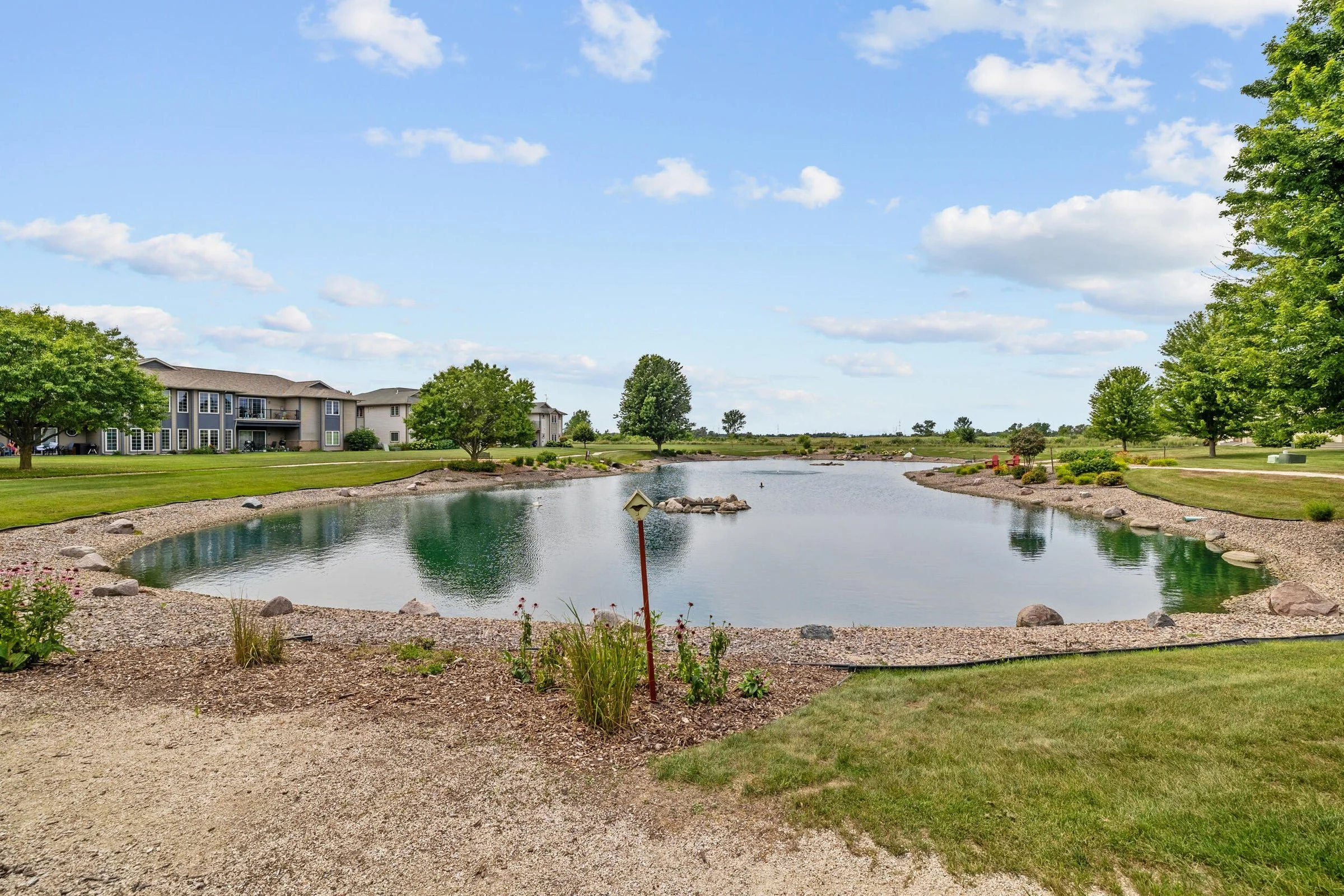 pond