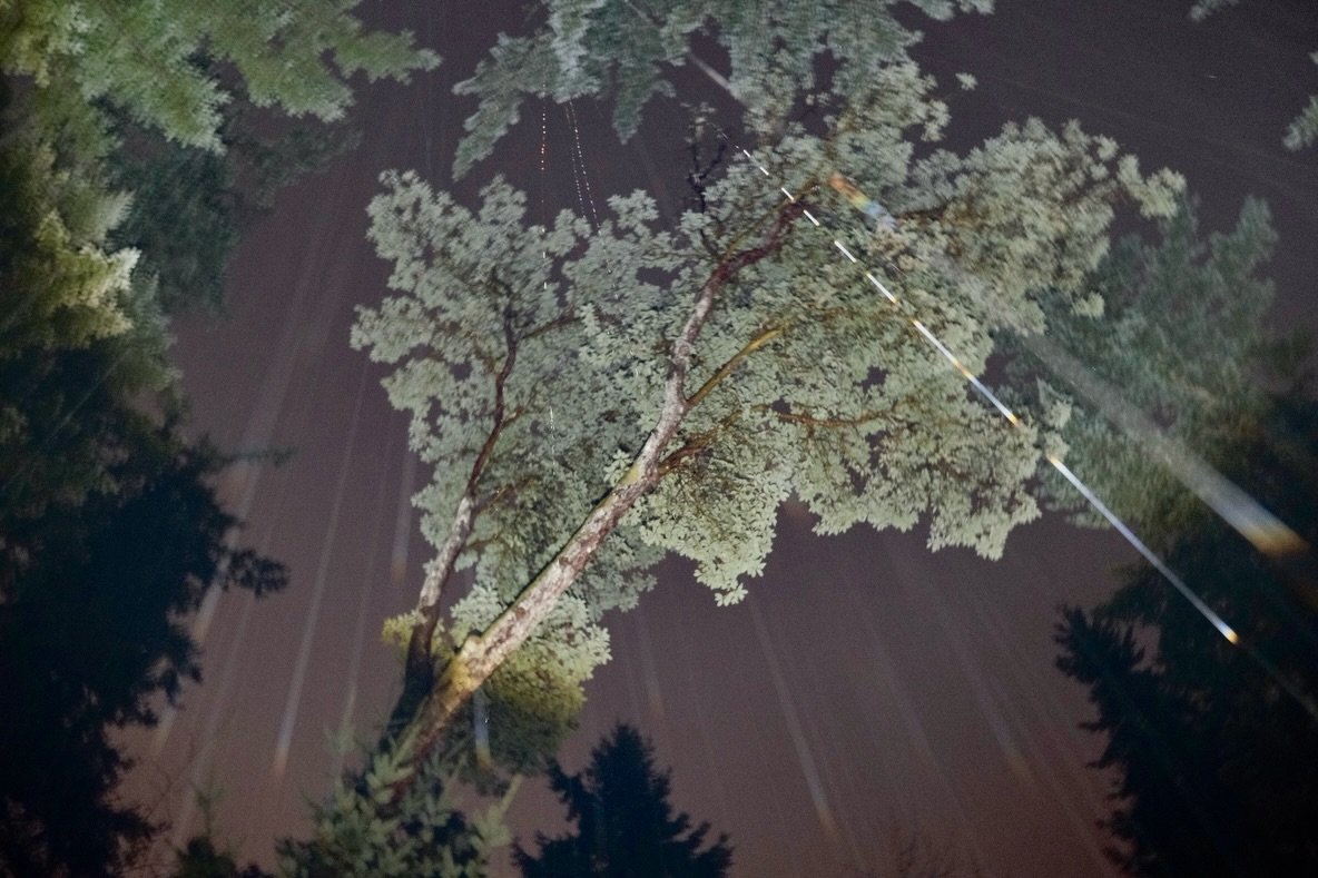 Night and day, this time of year it all feels the same. 

#vashonisland #pnwwinter #wintersolstice