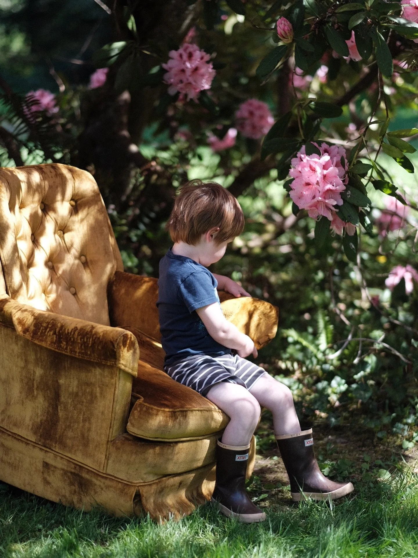 Happy spring 🌷

I am feeling inspired with this beautiful weather and the pops of color that spring brings! The light has been pretty stunning as the days are growing longer. 

It&rsquo;s a great time to get photos taken! Book a session with me for 