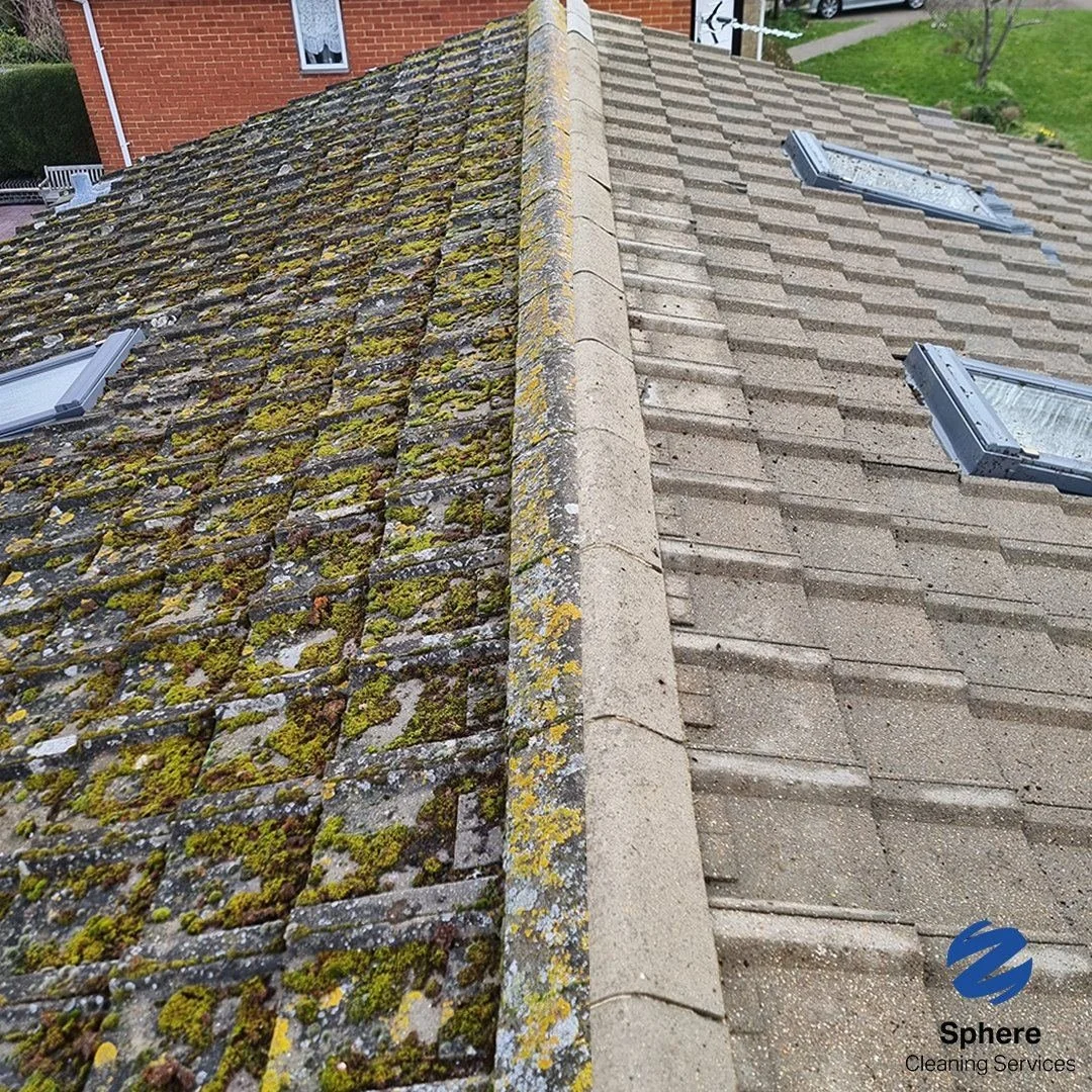 Before and after moss and lichen removal on concrete roof tiles showing dramatic cleaning results — Sphere Cleaning Services