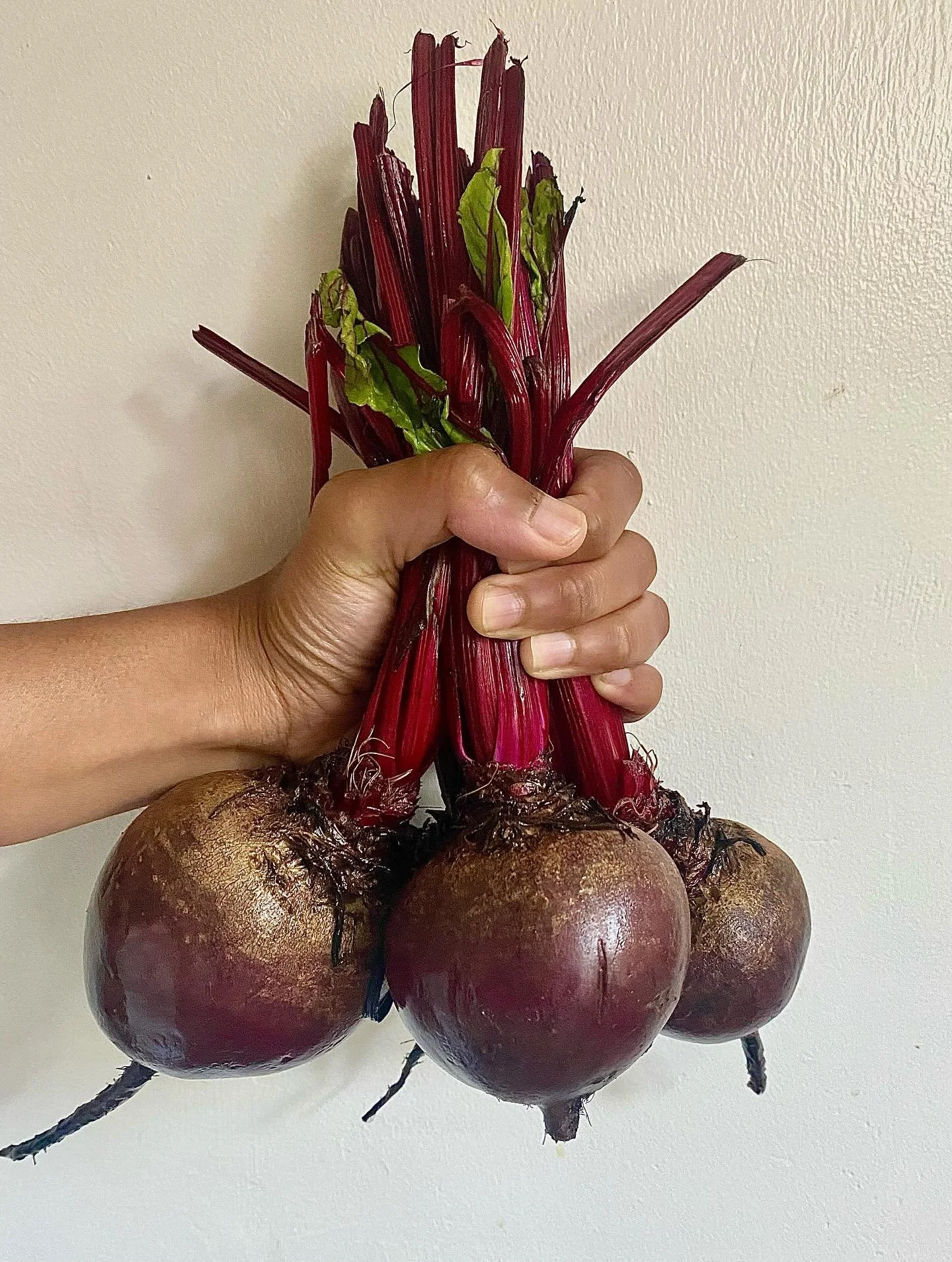 It&rsquo;s ROOTED veg season 🙌🏽 roasted beetroot and carrots go well with a whipped feta and honey dressing. Sprinkle on some pumpkin seeds of pistachios for the crunch mmmmm.