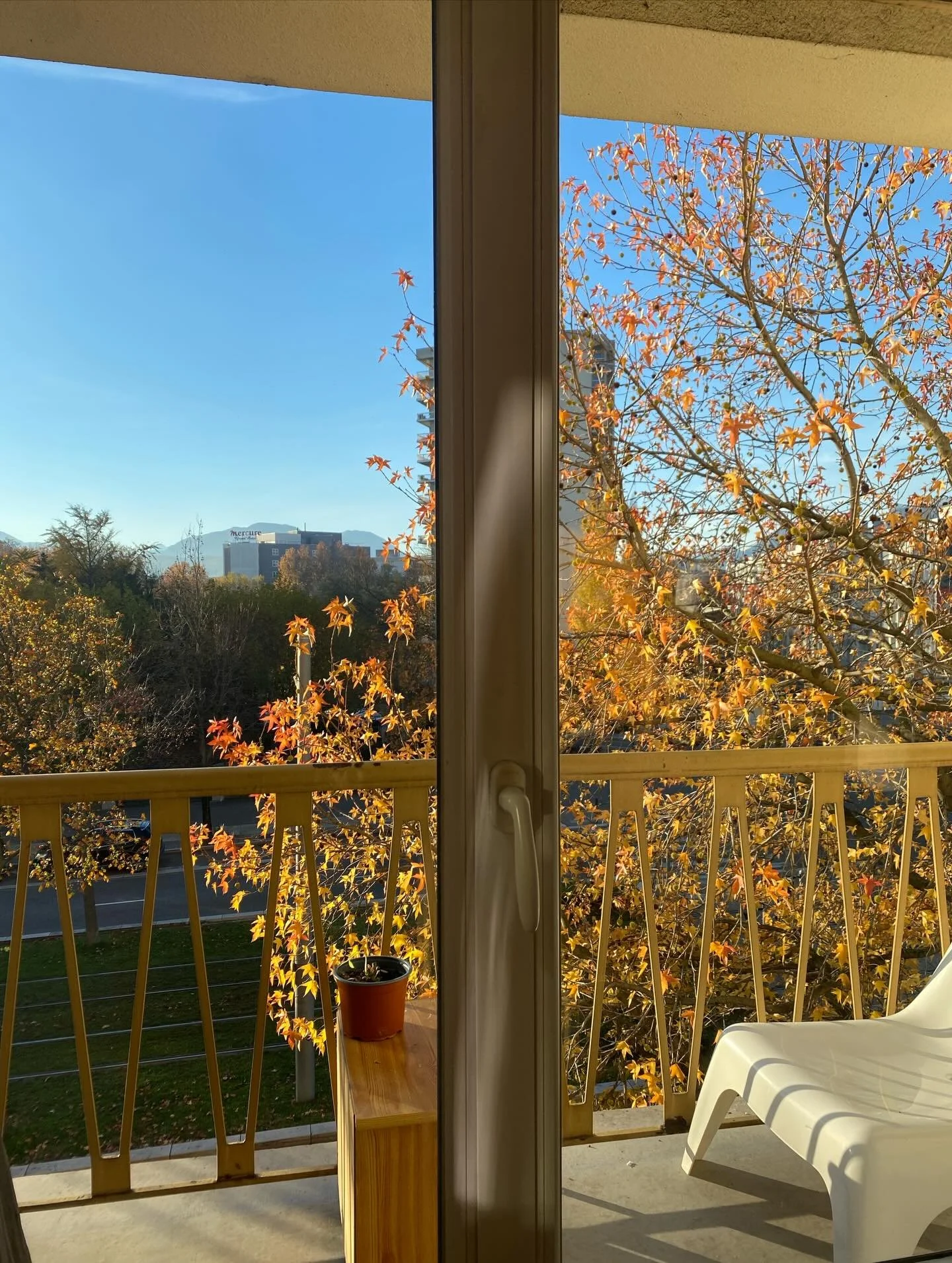 A little bit of life lately ☕️