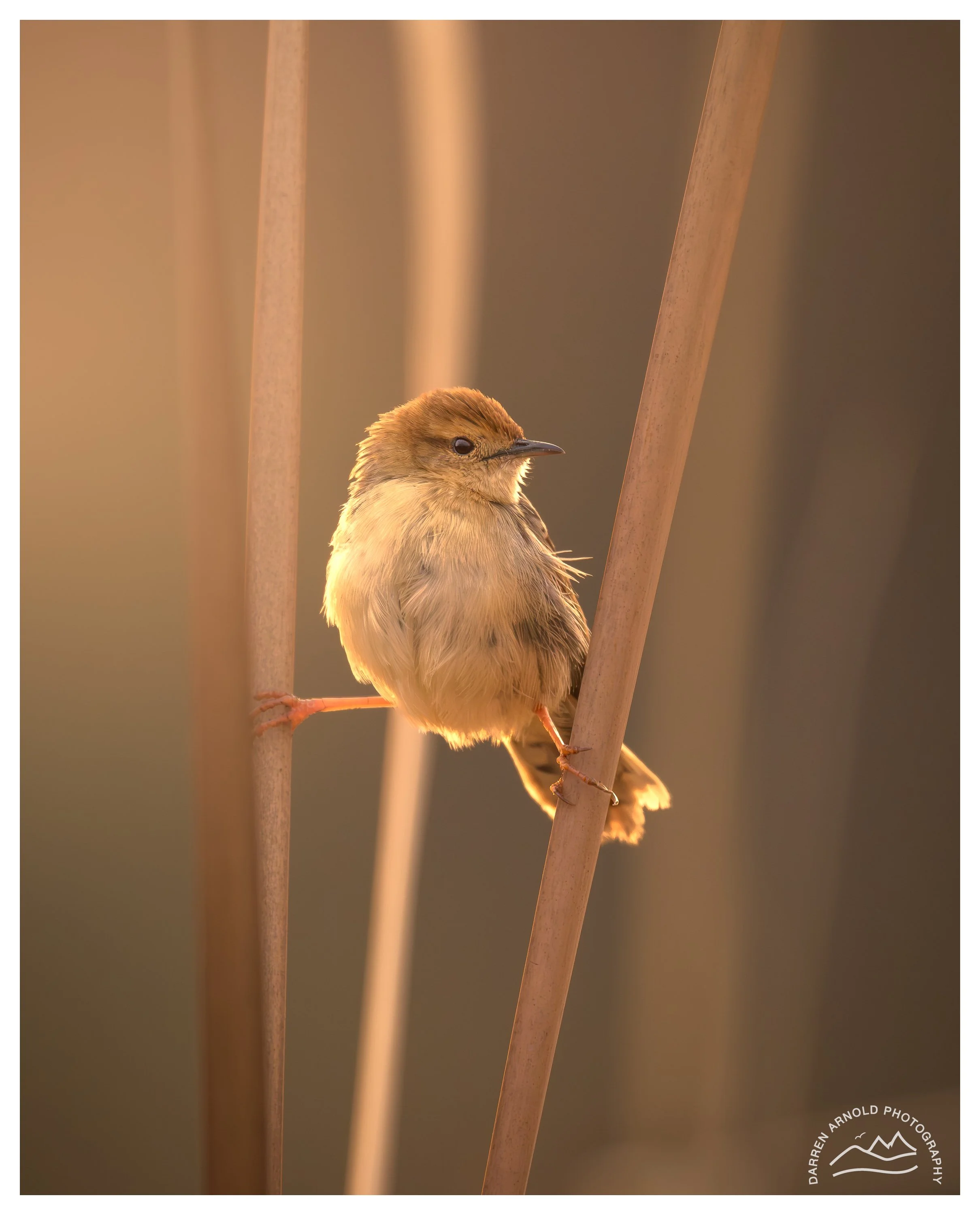 Web_Reed Balancing_20250914_Marievale.jpg