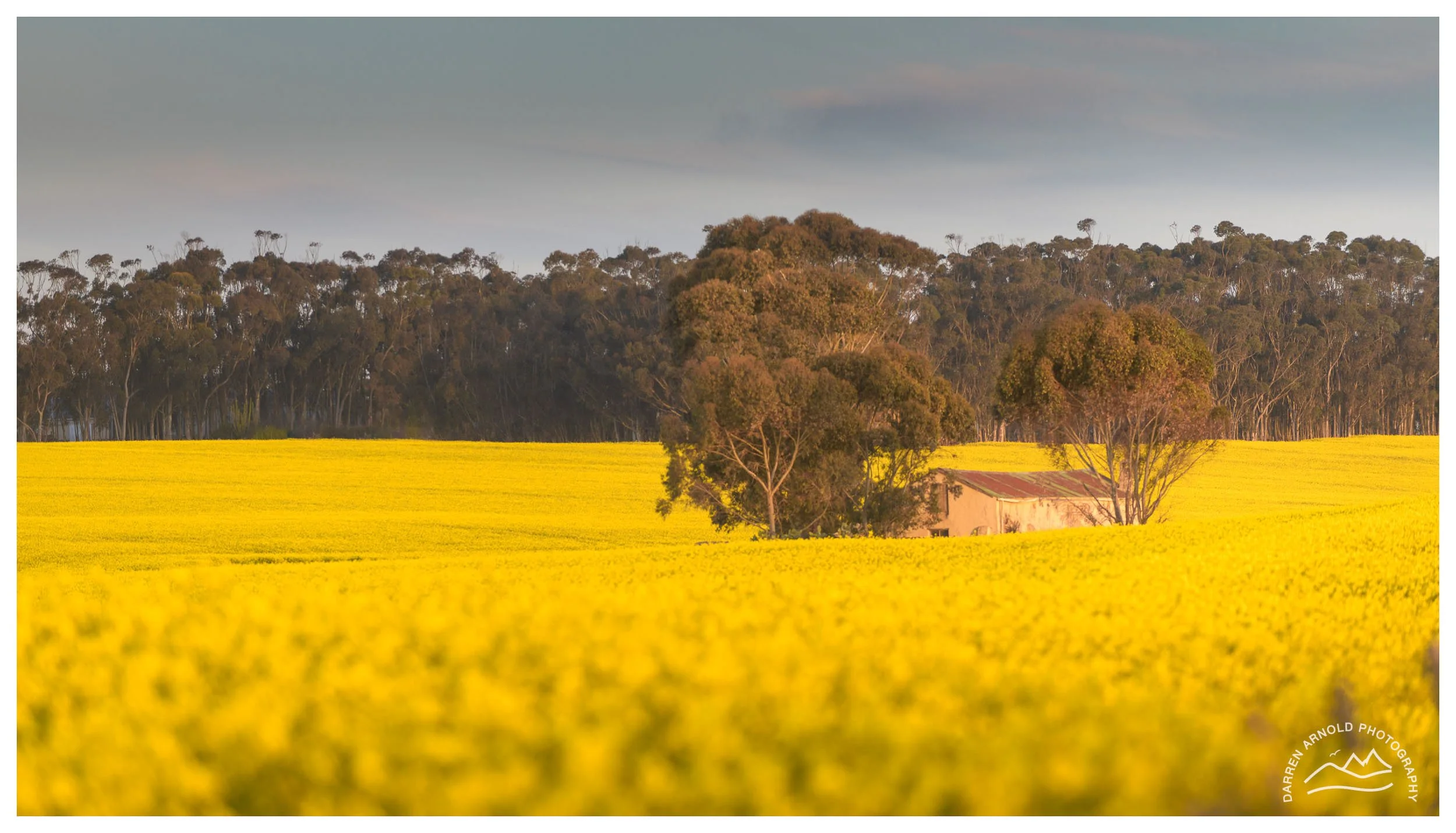 20250905_pm_Overberg_Barn in Rape Seed_Colour.jpg