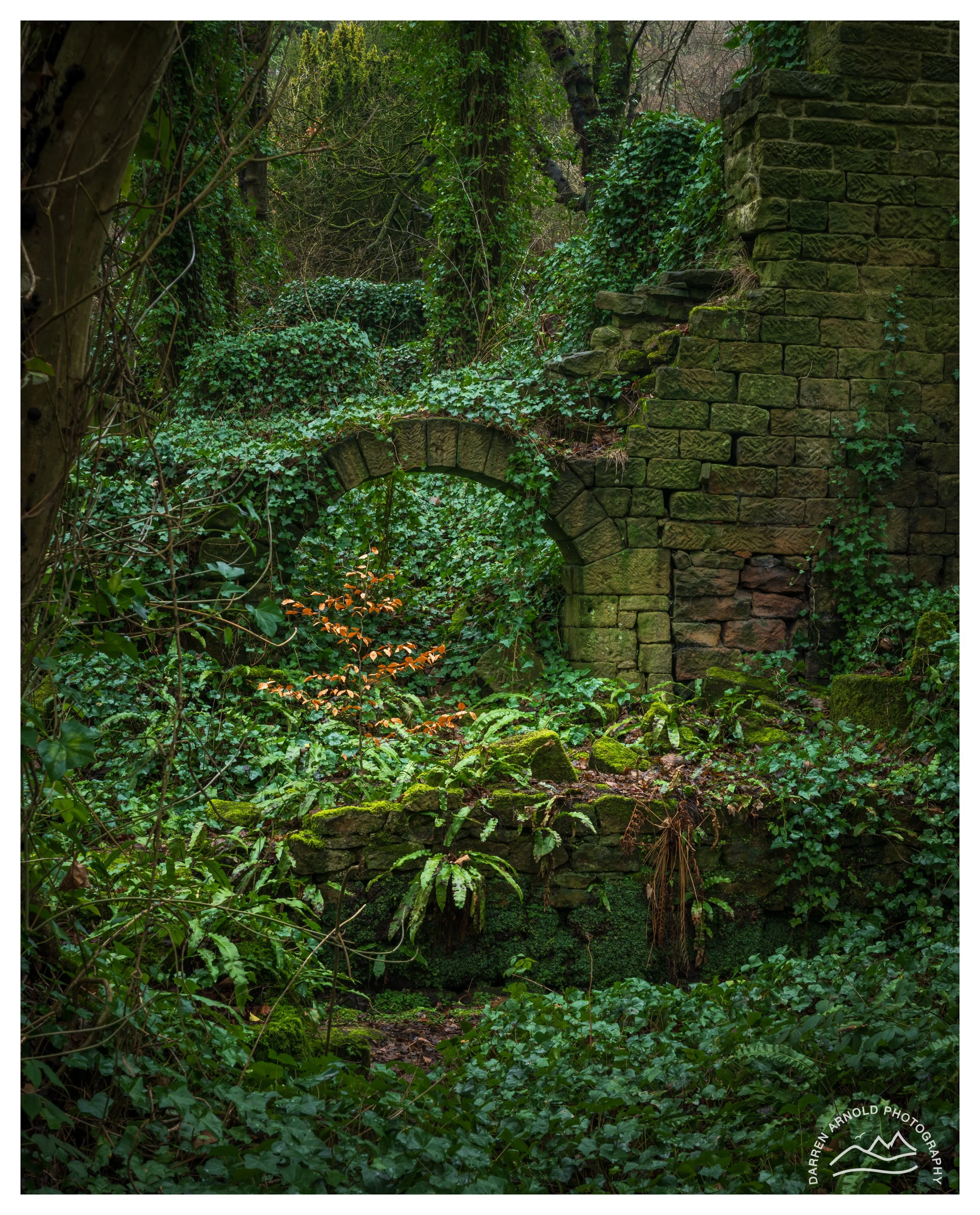 Web_Delapidated Building_20260115_Peak District_Lumsdale Valley.jpg