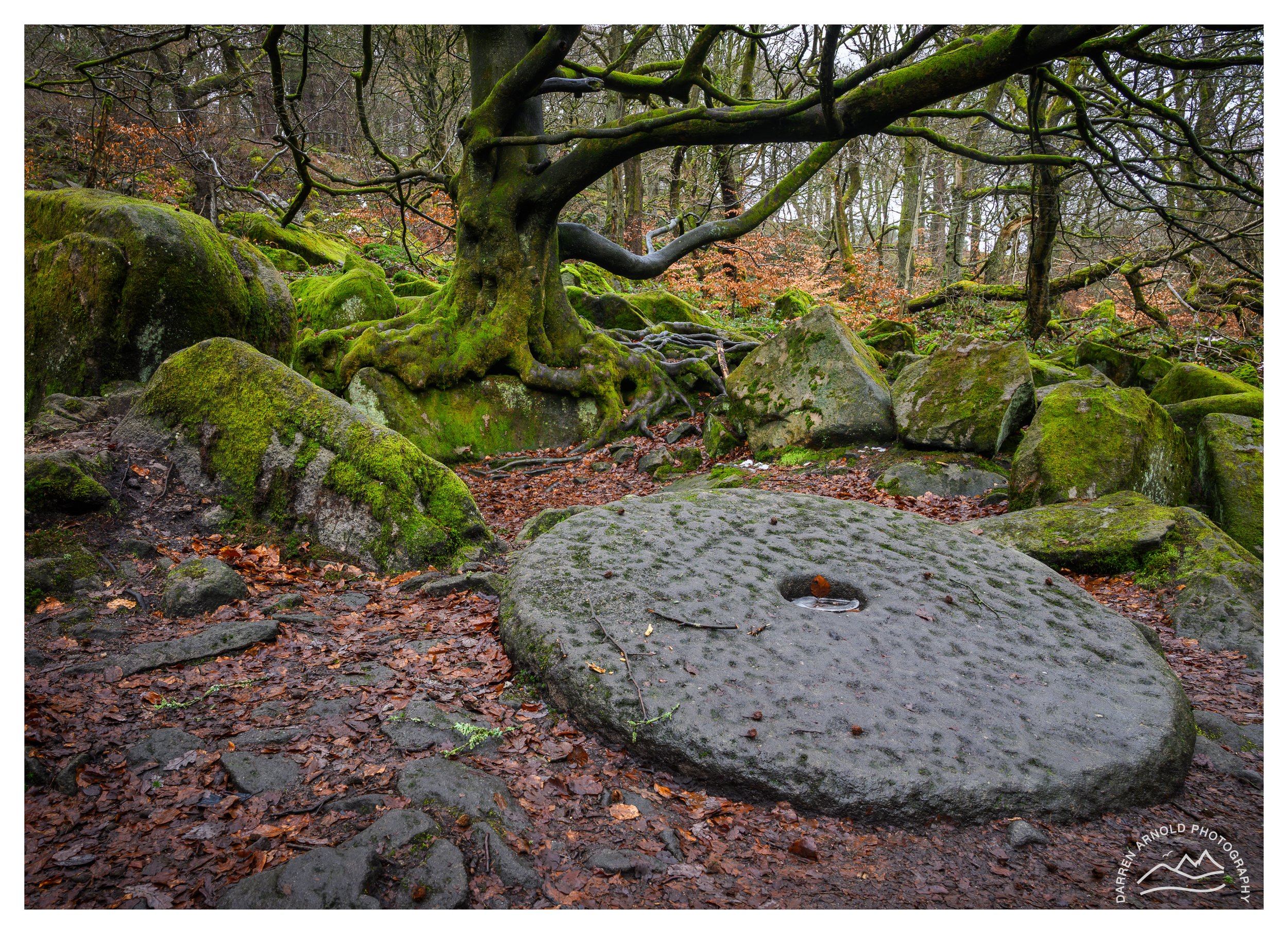 Web_Mill-Stone_20260112_Peak District_Padley Gorge.jpg