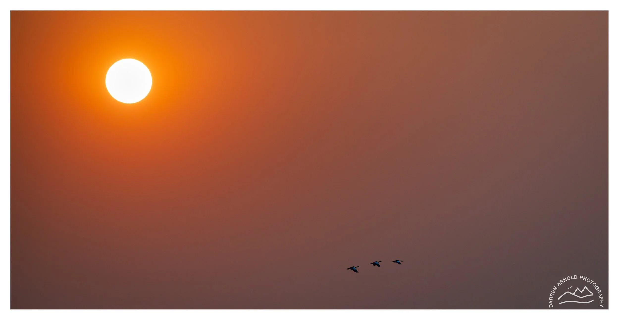 Web_Under the Sun_20250914_Marievale.jpg