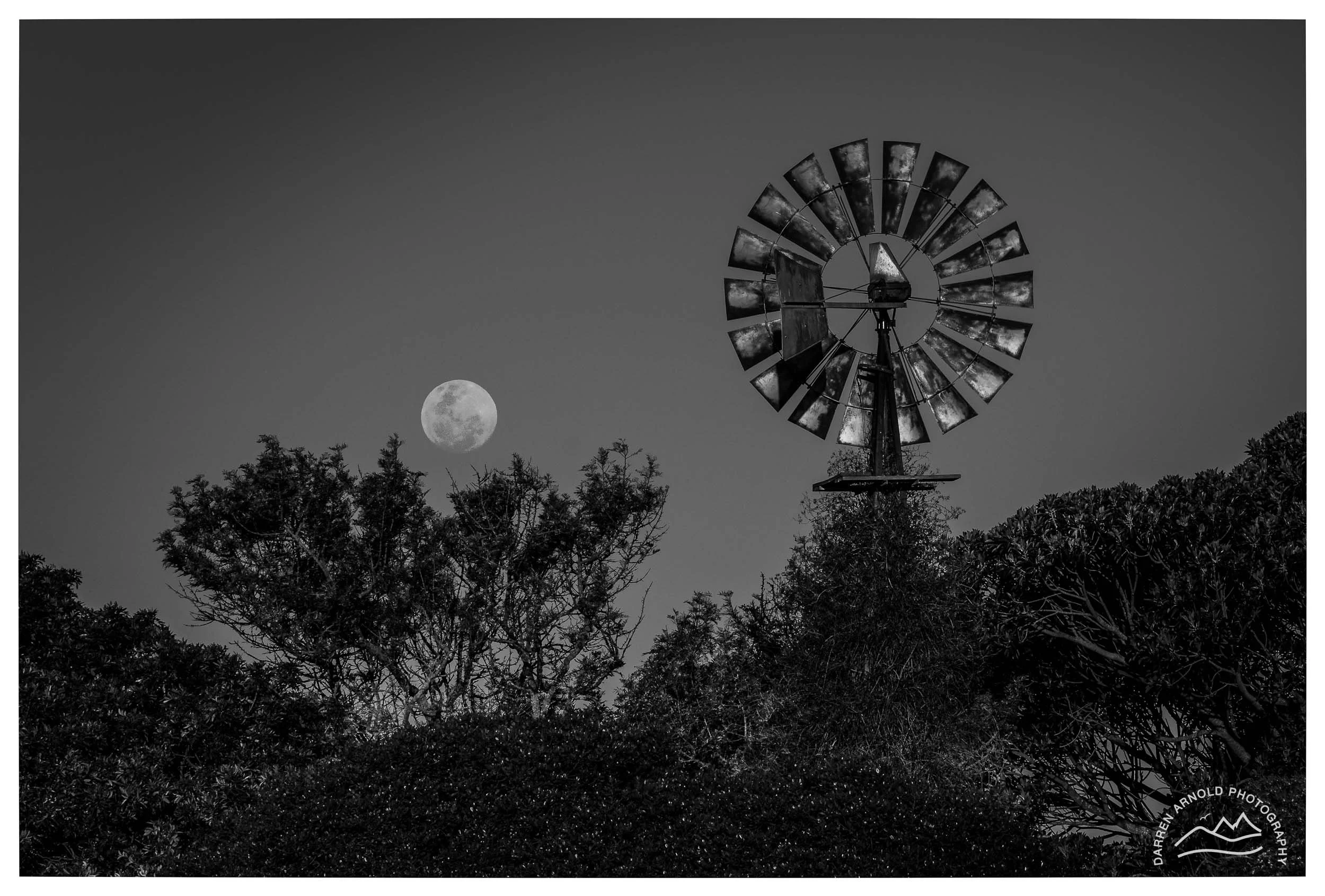 20250906_pm_Overberg_Moon and Windmill_B&W.jpg