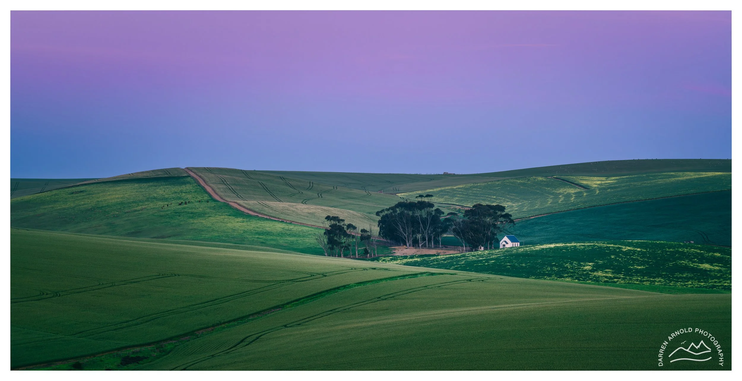 Web_Purple Prayers Pano_20250905_pm_Overberg.jpg