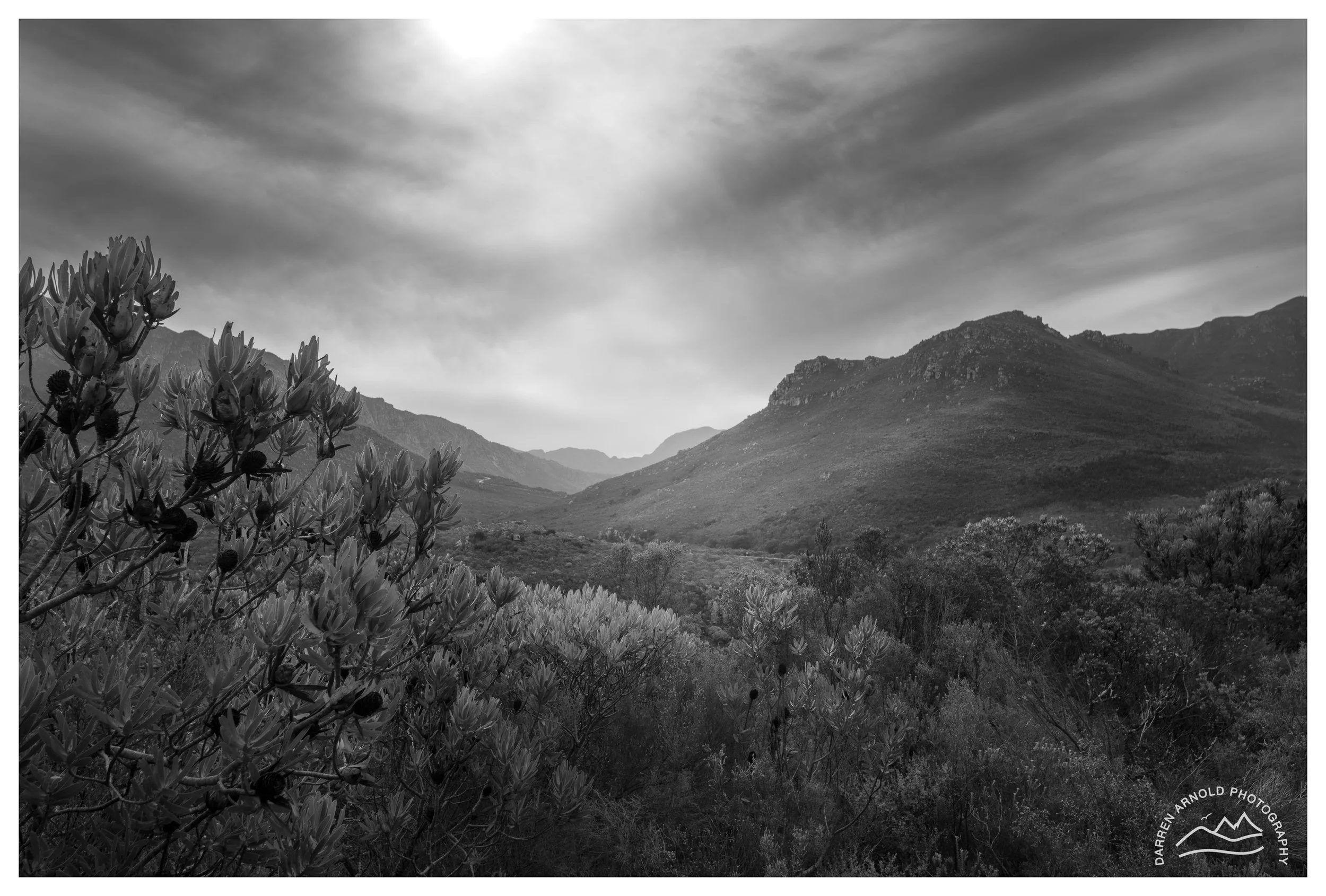 Web_Cape View B&W_20250405_Western Cape.jpg
