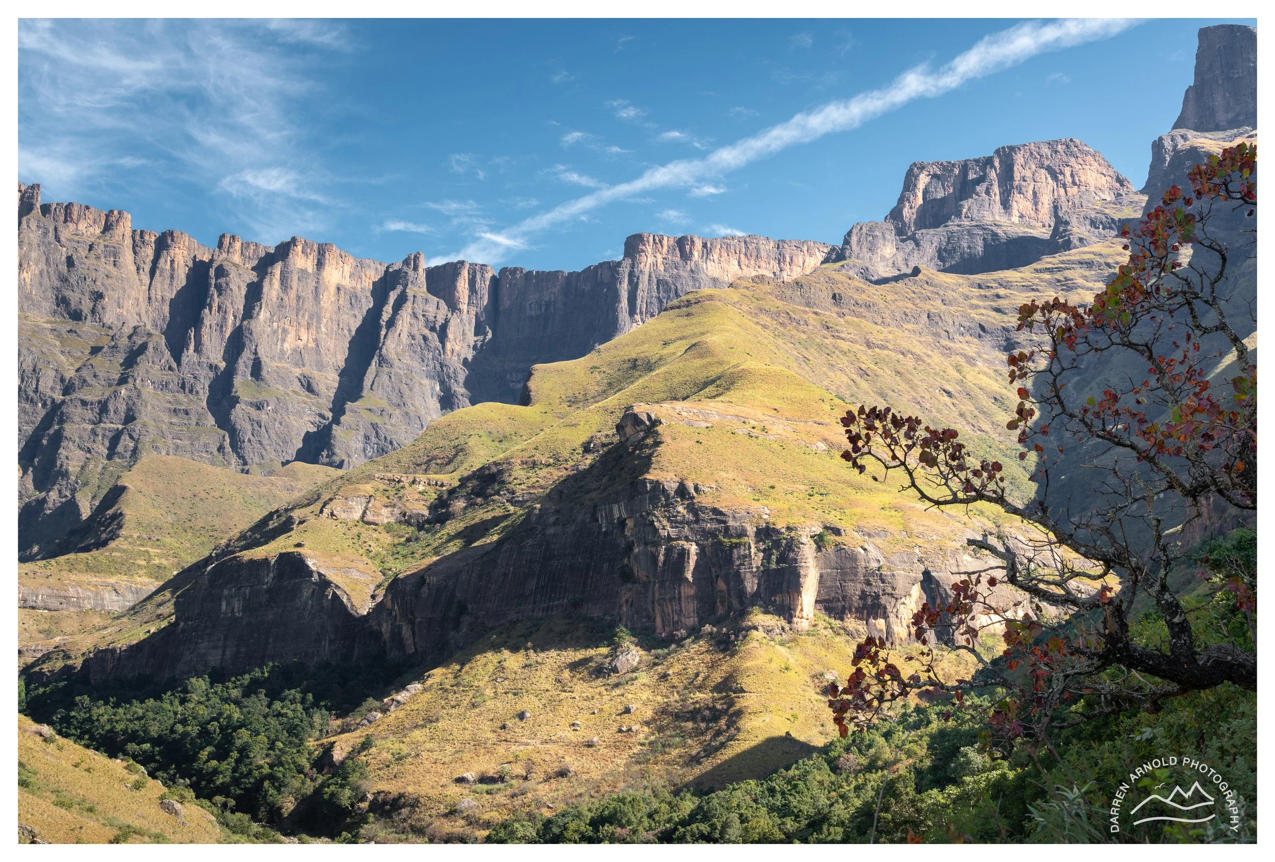 Web_Tugela Gorge_202506_Drakensberg.jpg