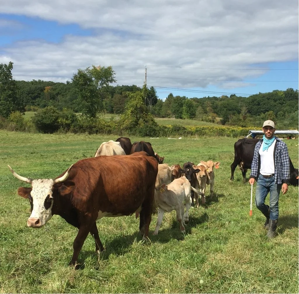 Farming at Hawthorne Valley.jpg