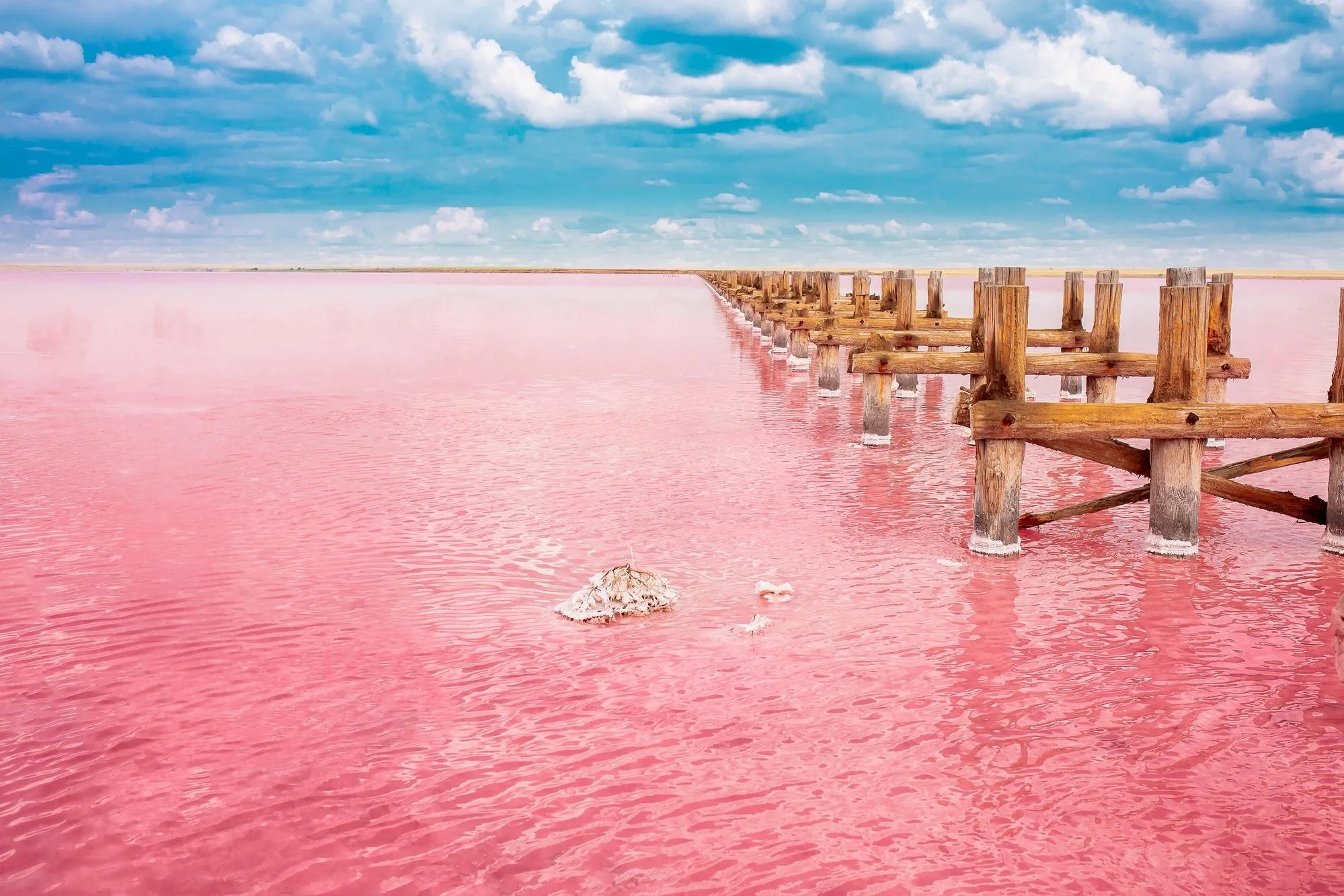 Excursion-au-lac-Rose-du-Senegal.jpeg