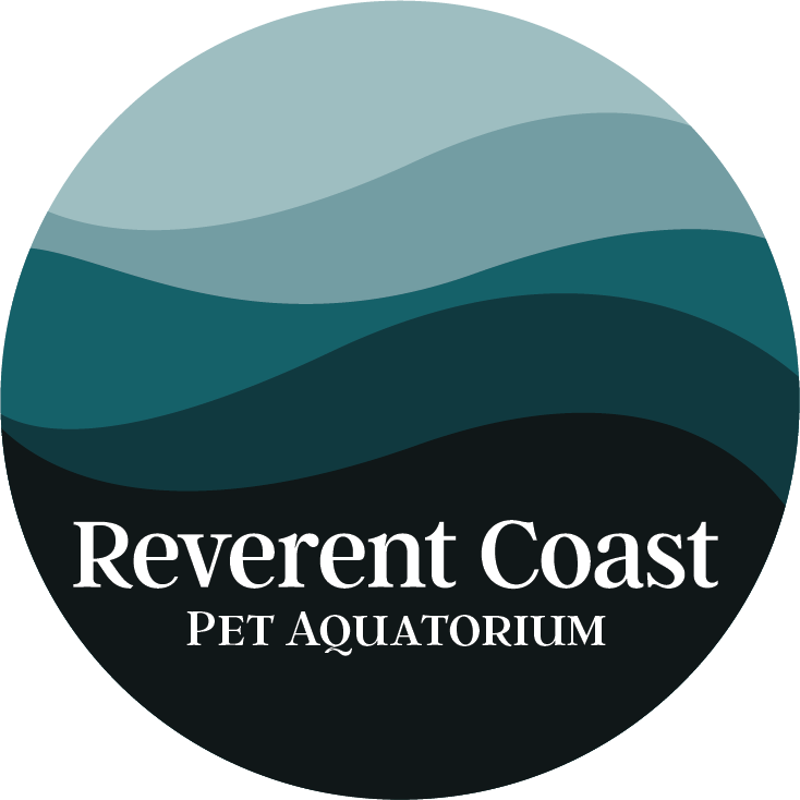 Circular logo with blue and teal waves, and the text “Reverent Coast Pet Aquatorium” in white at the bottom.