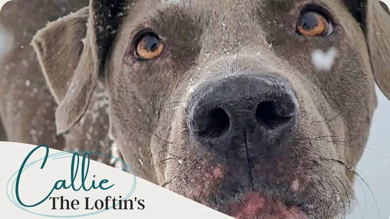 Remembering Callie Loftin