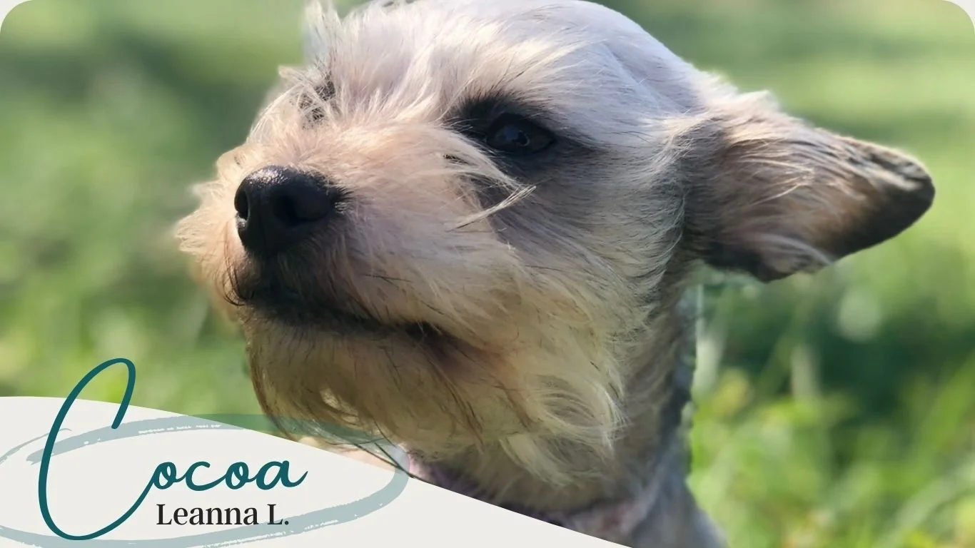 Remembering Cocoa