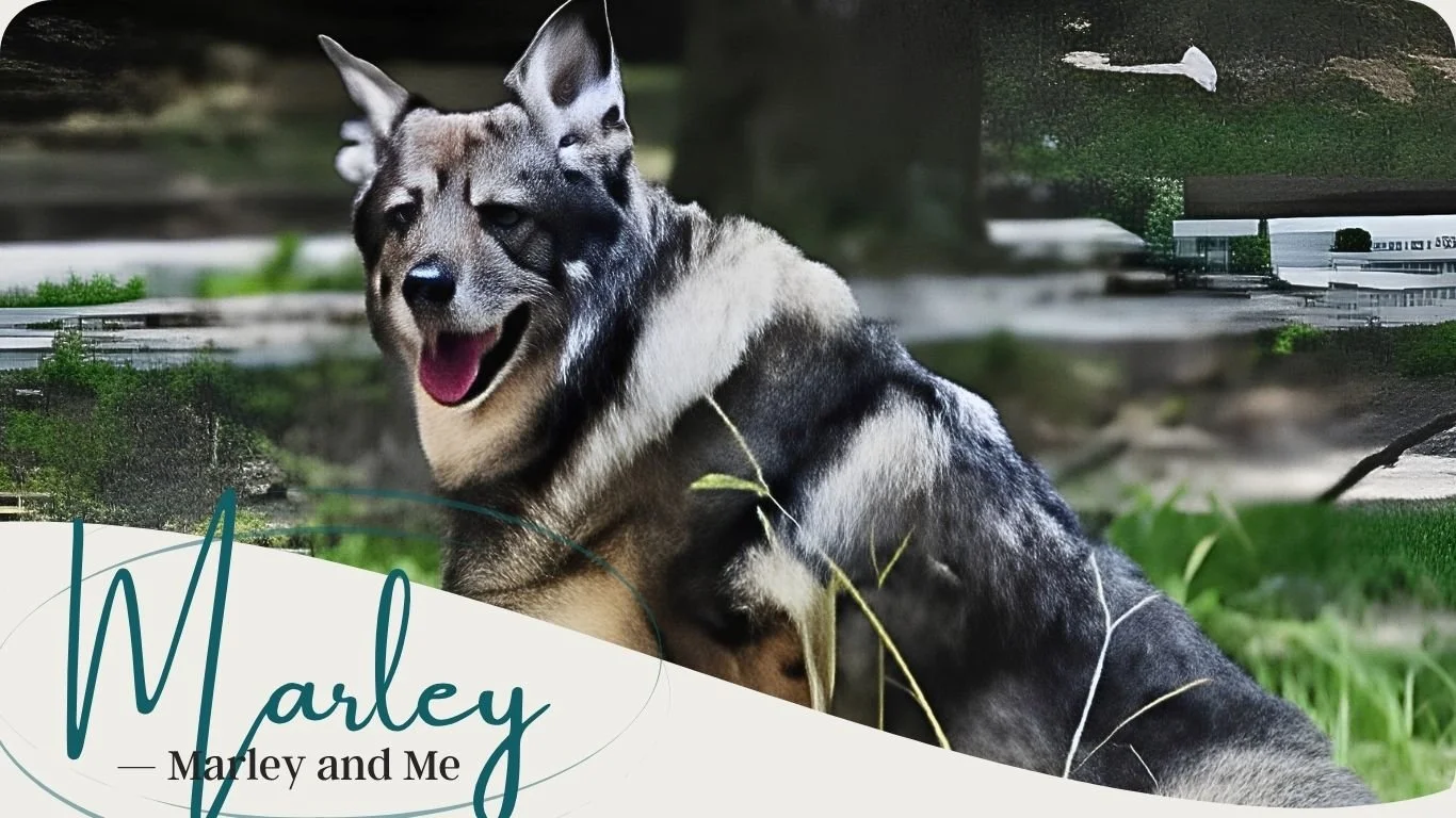 photo of Marley in tribute with Reverent Coast in Mobile, AL
