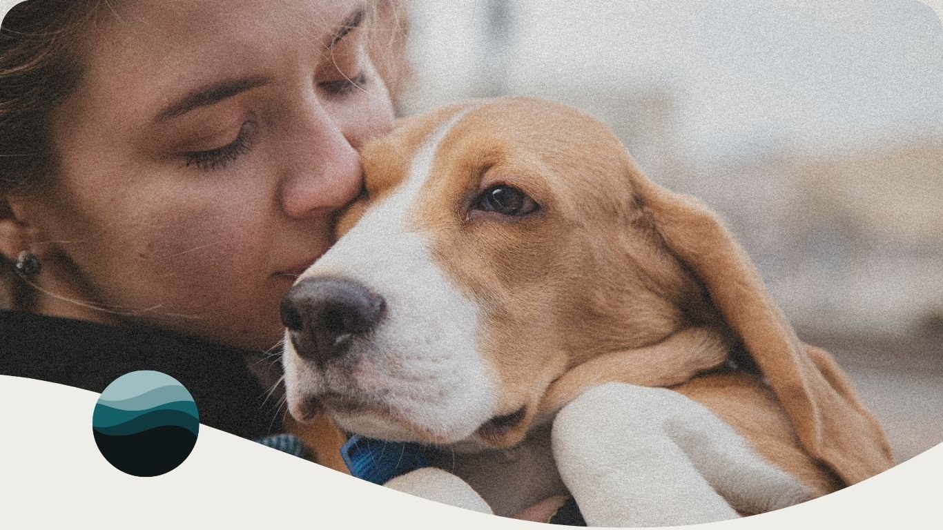 Thought processWoman kissing a beagle on the side of its face while holding the dog in her arms — an image of the bond between pets and their families, used on the Reverent Coast® Pet Aquatorium pet loss support resources page.