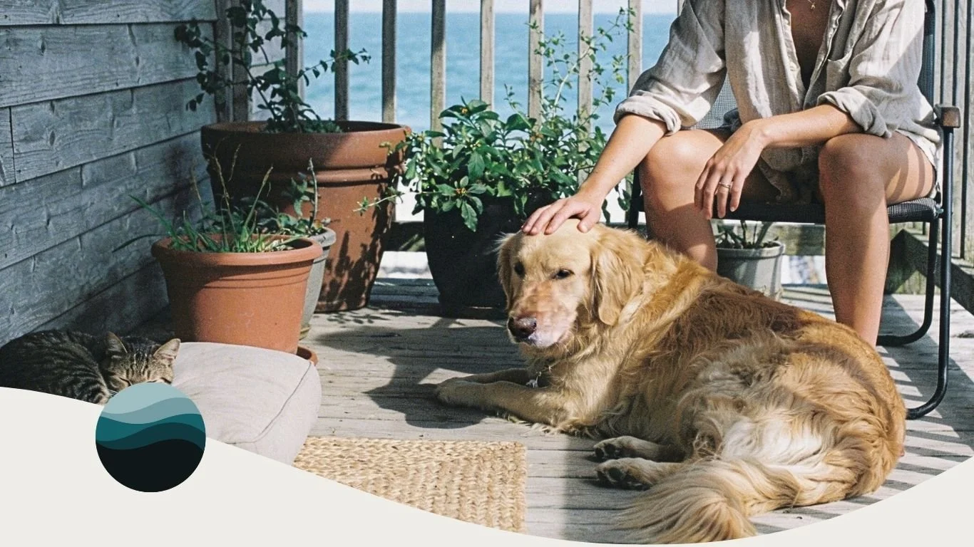 Woman sitting on a Gulf Coast porch overlooking the water with her dog and cat resting nearby.