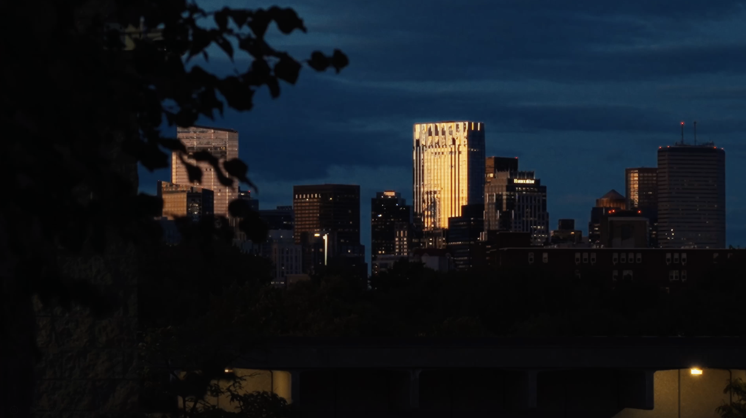 Screenshot 2025-11-07 at 2.51.20 PM.png