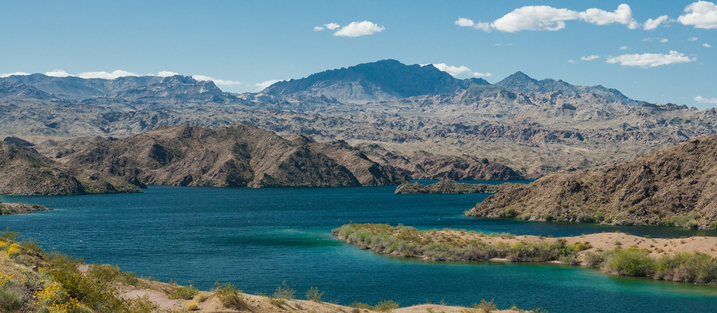 684285edc0093400e8dd5dbb_LAKE MOHAVE.png