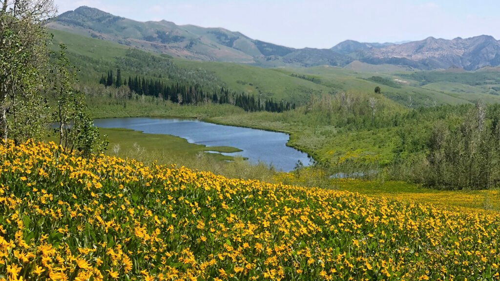 Jarbidge-1024x576.jpg