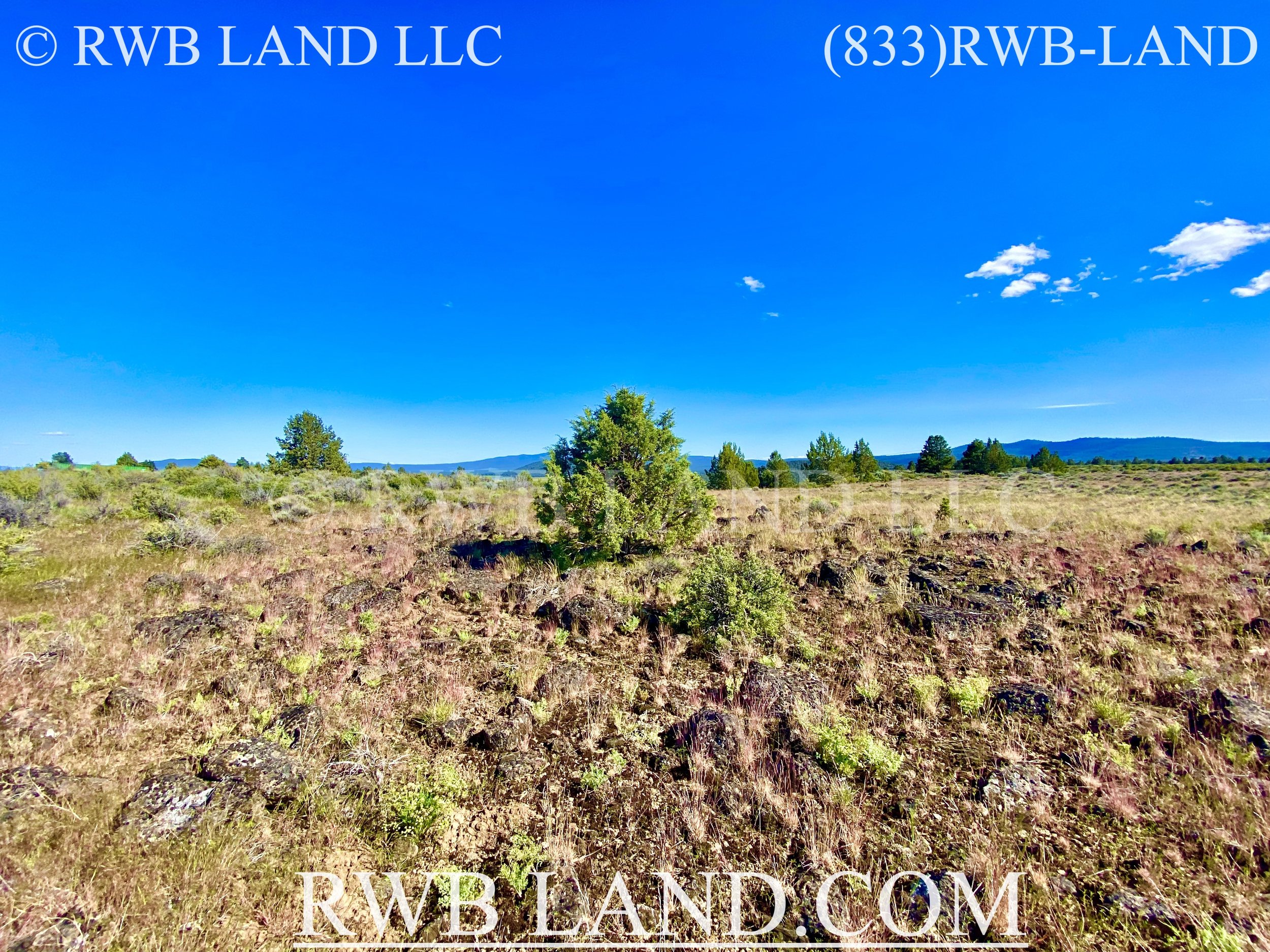 1.59 Acre Lot on Rim Drive With Open Space & Amazing Views