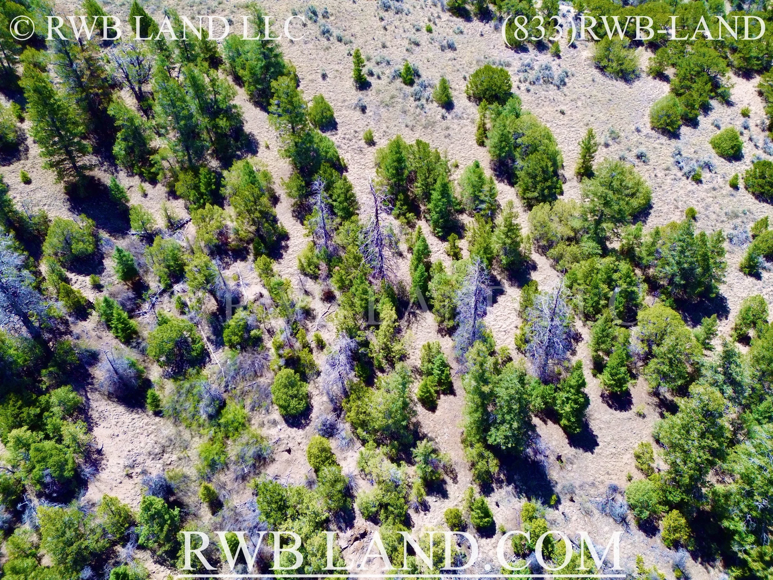 DJI_0745.jpeg