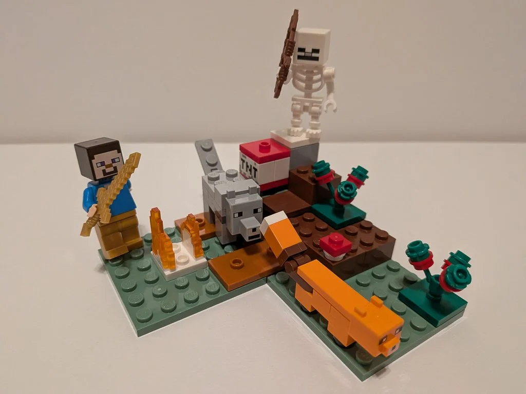 21162b.jpg