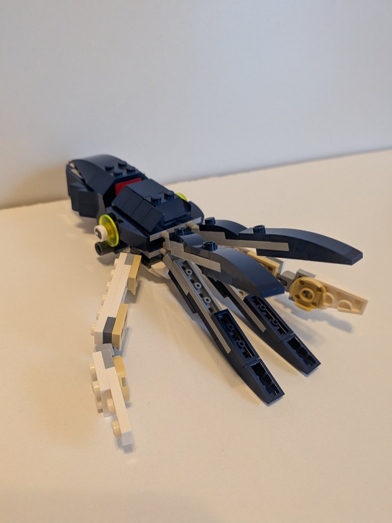 31088n.jpg