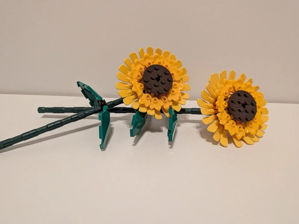 40524e.jpg