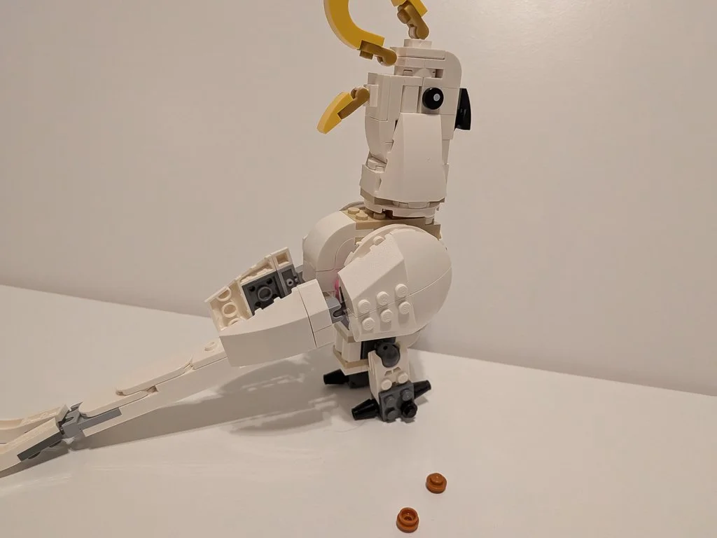 31133w.jpg
