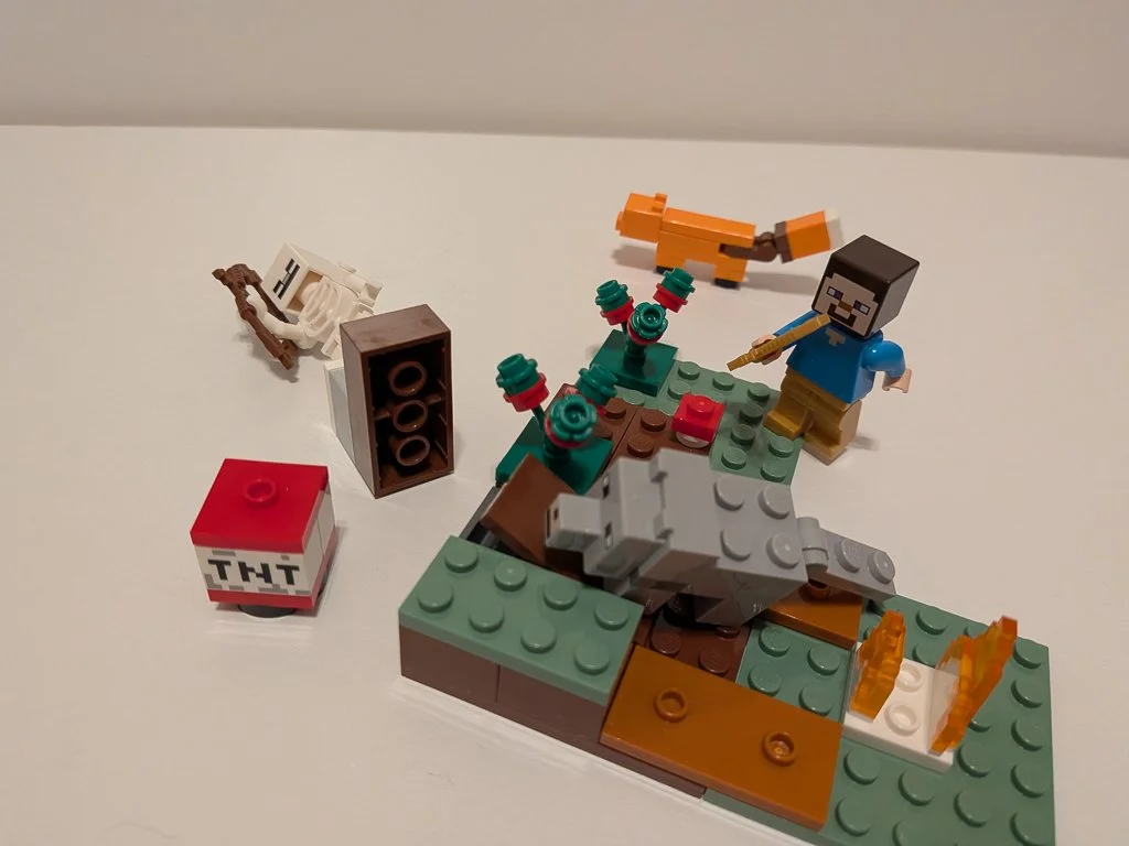 21162e.jpg