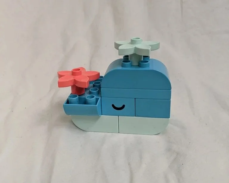 30648b.jpg