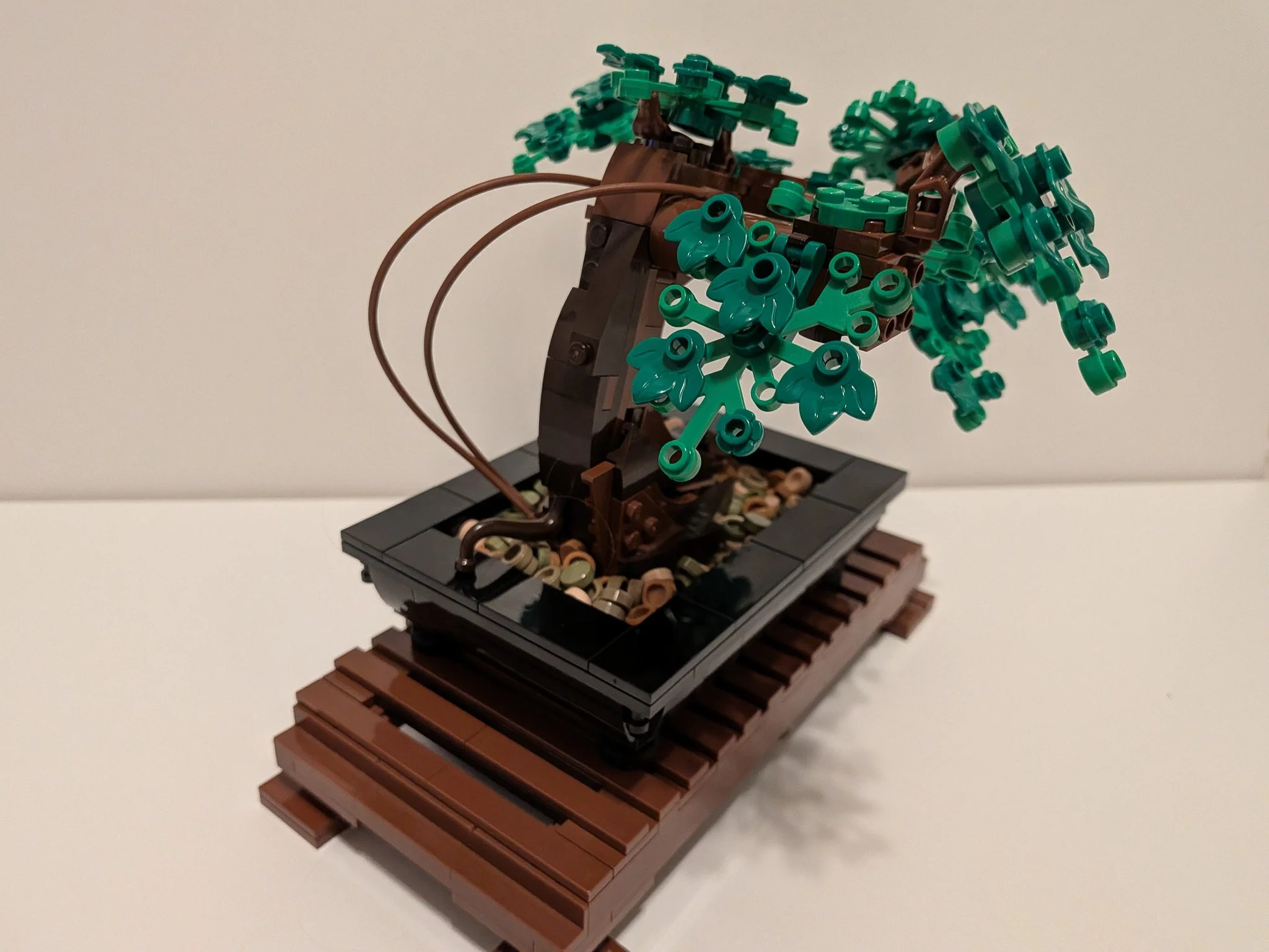 10281c.jpg
