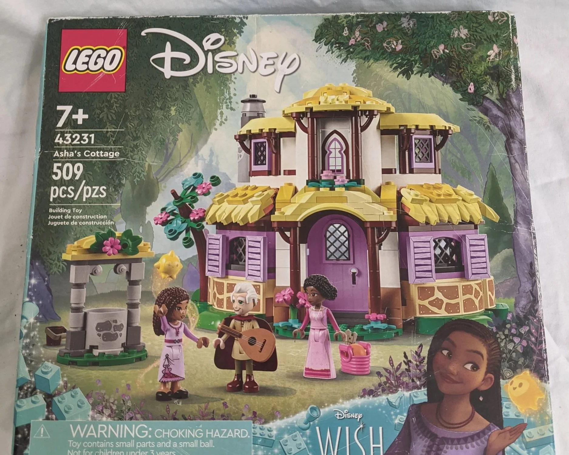 Asha's Cottage (NIB)