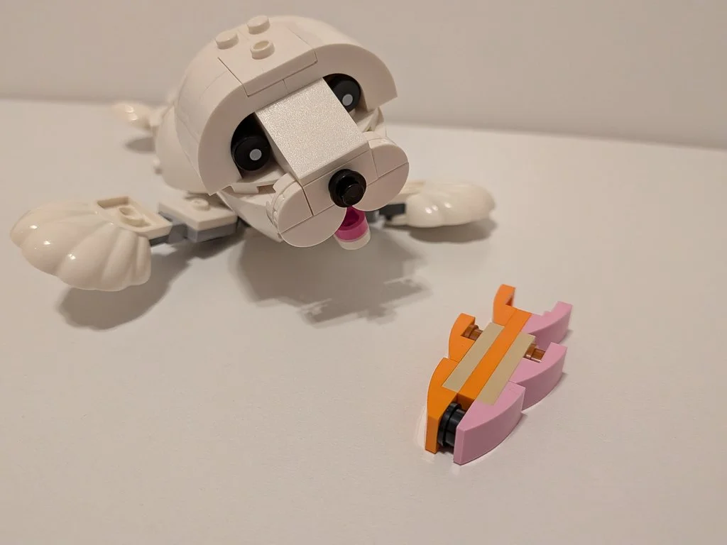 31133f.jpg