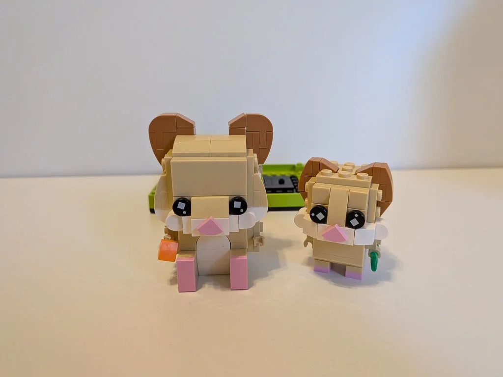 40482d.jpg