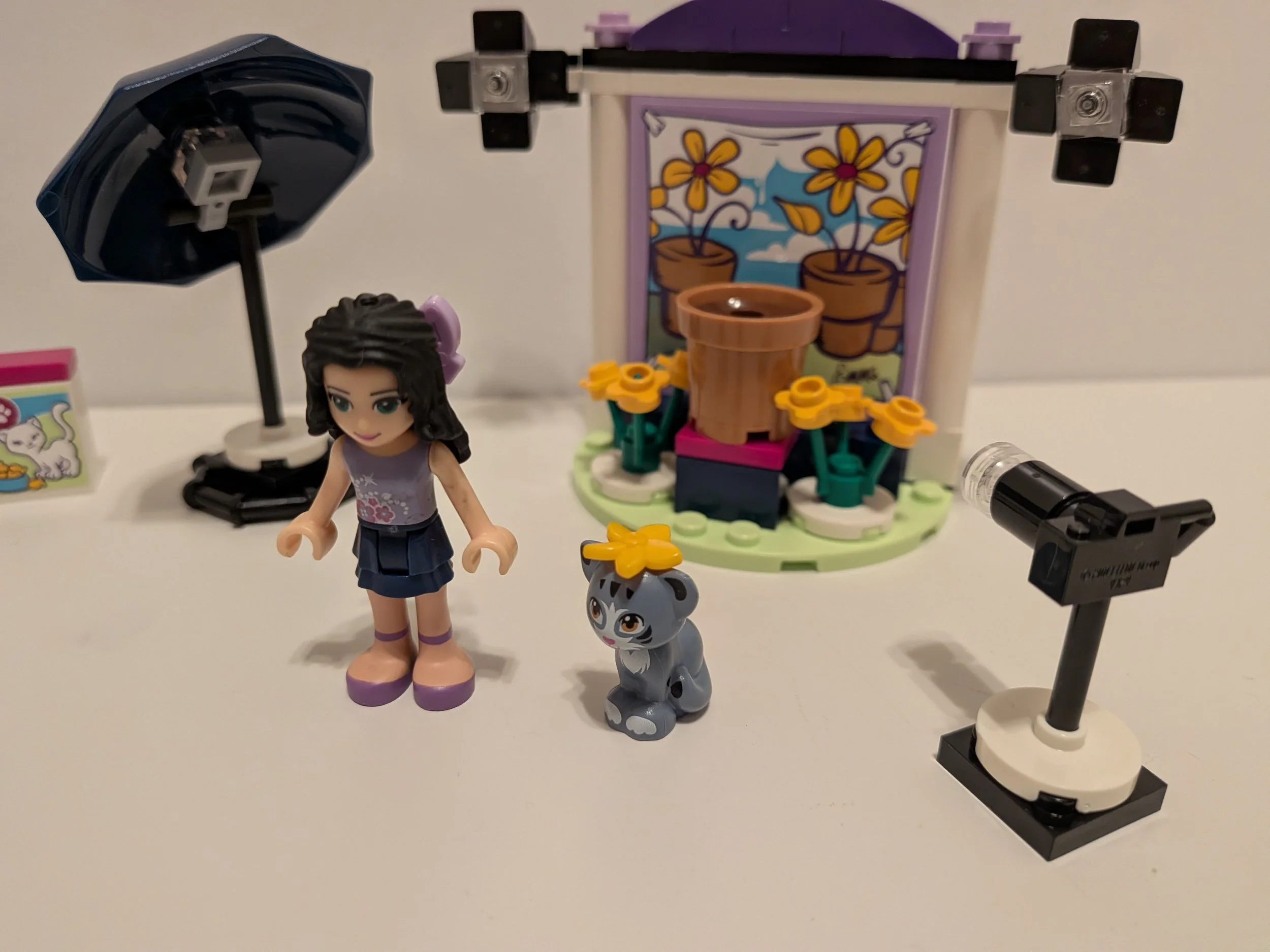 41305b.jpg