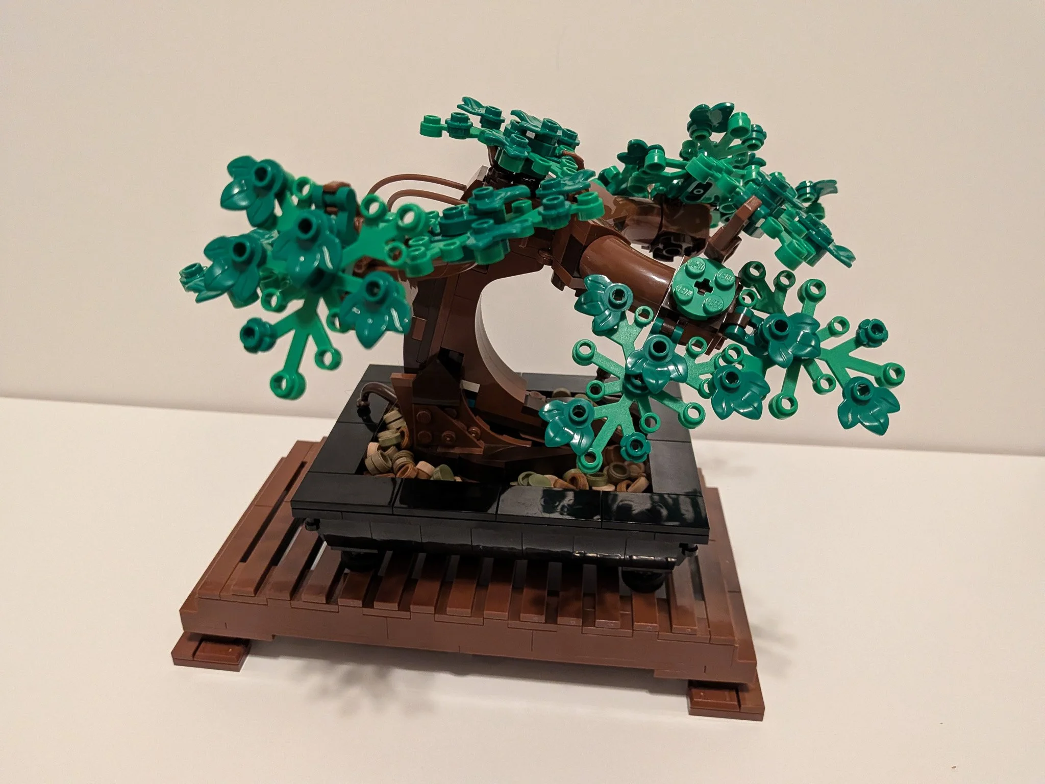 10281g.jpg
