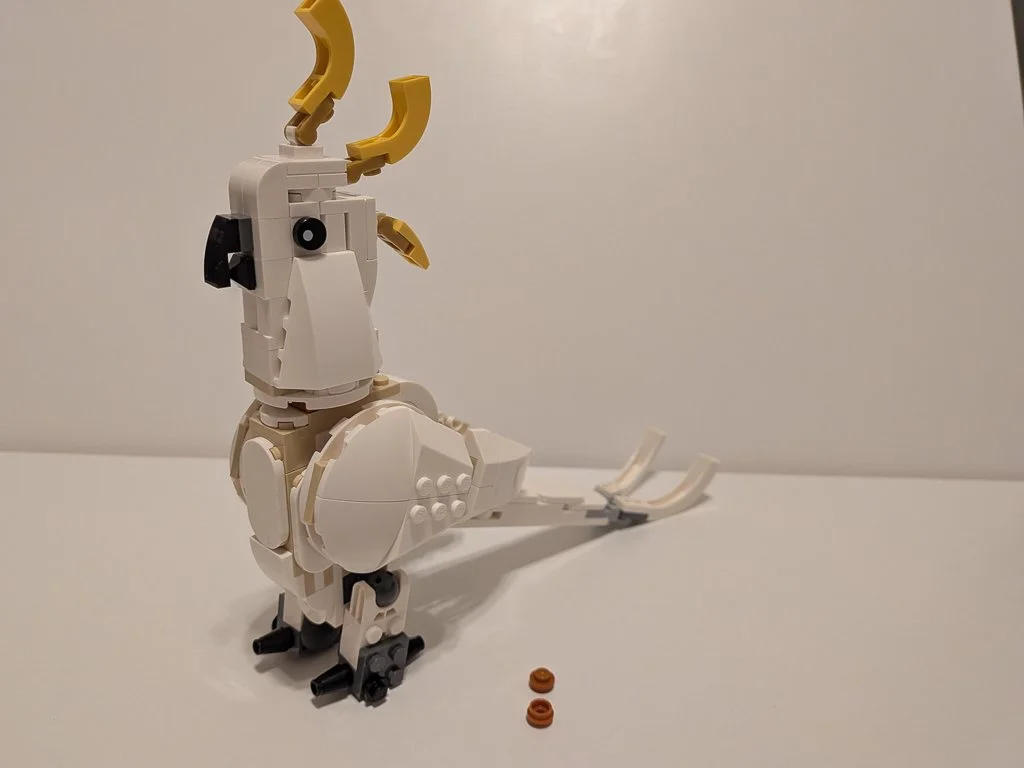 31133x.jpg