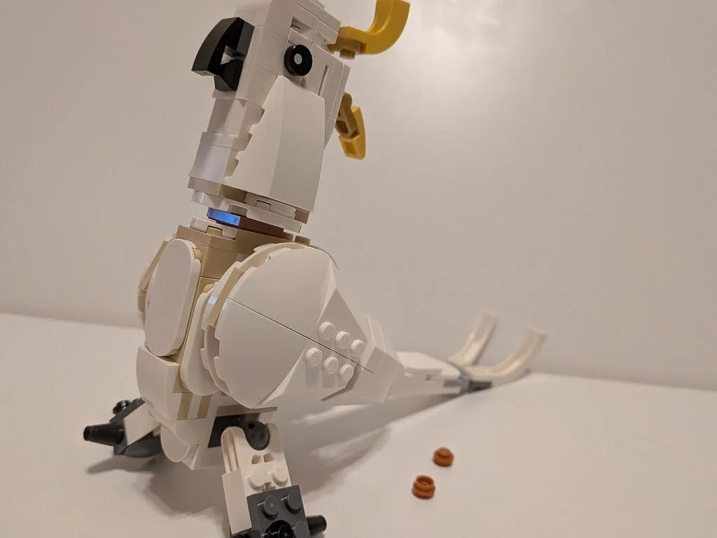 31133u.jpg