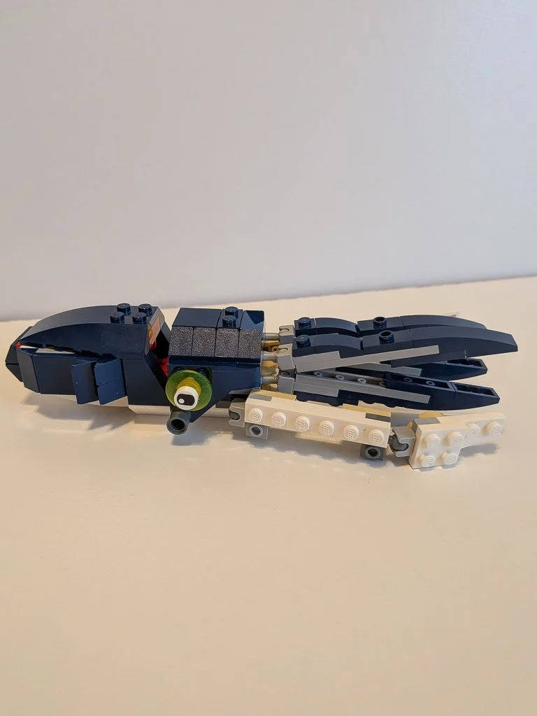 31088s.jpg