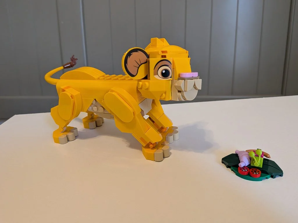 43243c.jpg