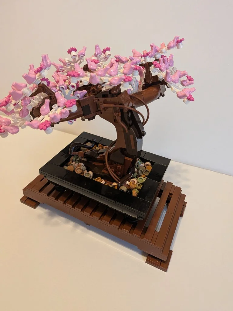 Bonsai Tree (SBC)